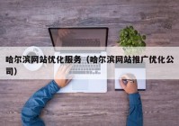 哈尔滨网站优化服务（哈尔滨网站推广优化公司）