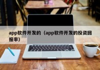 app软件开发的（app软件开发的投资回报率）