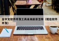 全中文软件开发工具未来前景怎样（现在软件开发）