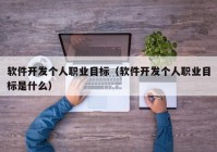 软件开发个人职业目标（软件开发个人职业目标是什么）