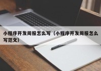 小程序开发周报怎么写（小程序开发周报怎么写范文）