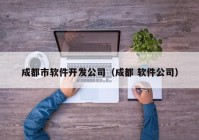 成都市软件开发公司（成都 软件公司）