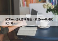 武清seo优化咨询电话（武汉seo网络优化公司）