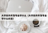 大学软件开发专业学什么（大学软件开发专业学什么科目）