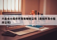 六盘水小程序开发有哪些公司（贵阳开发小程序公司）