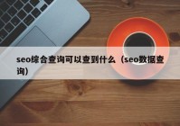 seo综合查询可以查到什么（seo数据查询）