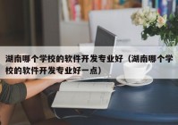 湖南哪个学校的软件开发专业好（湖南哪个学校的软件开发专业好一点）