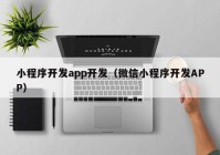 小程序开发app开发（微信小程序开发APP）