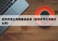 软件开发公司哪里接业务（软件开发公司做什么的）