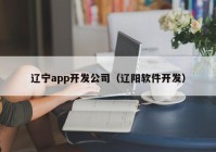 辽宁app开发公司（辽阳软件开发）