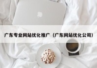 广东专业网站优化推广（广东网站优化公司）