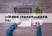 seo术语解释（专业术语中seo的意思是什么）