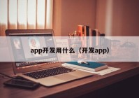 app开发用什么（开发app）