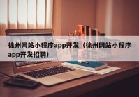 徐州网站小程序app开发（徐州网站小程序app开发招聘）