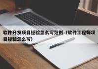 软件开发项目经验怎么写范例（软件工程师项目经验怎么写）