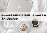 微信小程序开发入门教程视屏（微信小程序开发入门视频教程）