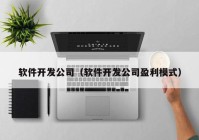 软件开发公司（软件开发公司盈利模式）