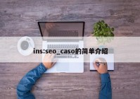 ins:seo_caso的简单介绍