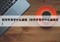 软件开发学什么编程（软件开发学什么编程好）