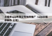 小程序app开发公司如何推广（app小程序制作 公司）