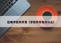 在哪学软件开发（学软件开发学什么）