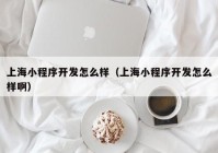 上海小程序开发怎么样（上海小程序开发怎么样啊）