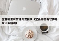 宜昌哪里有软件开发团队（宜昌哪里有软件开发团队培训）