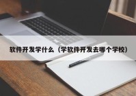 软件开发学什么（学软件开发去哪个学校）