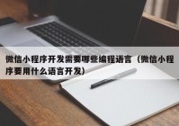 微信小程序开发需要哪些编程语言（微信小程序要用什么语言开发）