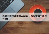 西安小程序开发引入npm（西安微信小程序开发）