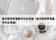 电子软件开发属于什么专业（电子软件开发属于什么专业）