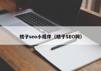 桔子seo小程序（桔子SEO网）