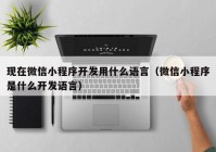 现在微信小程序开发用什么语言（微信小程序是什么开发语言）