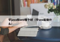 学java和seo哪个好（学seo能做什么）