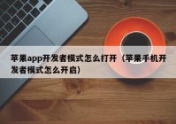 苹果app开发者模式怎么打开（苹果手机开发者模式怎么开启）