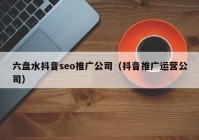 六盘水抖音seo推广公司（抖音推广运营公司）