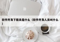 软件开发下载员是什么（软件开发人员叫什么）