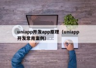 uniapp开发app原理（uniapp开发常用案例）