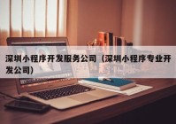 深圳小程序开发服务公司（深圳小程序专业开发公司）