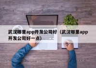 武汉哪里app开发公司好（武汉哪里app开发公司好一点）