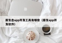 原生态app开发工具有哪些（原生app开发软件）