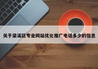 关于梁溪区专业网站优化推广电话多少的信息