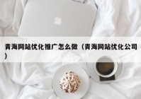 青海网站优化推广怎么做（青海网站优化公司）