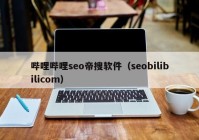 哔哩哔哩seo帝搜软件（seobilibilicom）