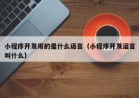 小程序开发用的是什么语言（小程序开发语言叫什么）