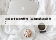 云南关于seo的教程（云南网站seo外包）