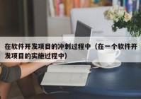 在软件开发项目的冲刺过程中（在一个软件开发项目的实施过程中）