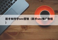 新手如何学seo营销（新手seo推广教程）